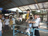 四湾岛与迪沙鲁一日游