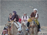 十日埃及之旅