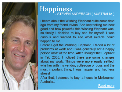 8ways Meditation - Holy Elephant